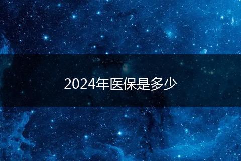 2024年医保是多少