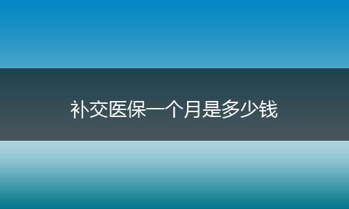 补交医保一个月是多少钱