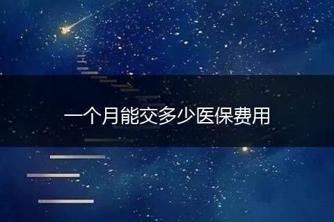 一个月能交多少医保费用