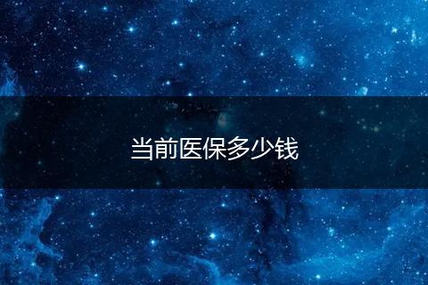 当前医保多少钱