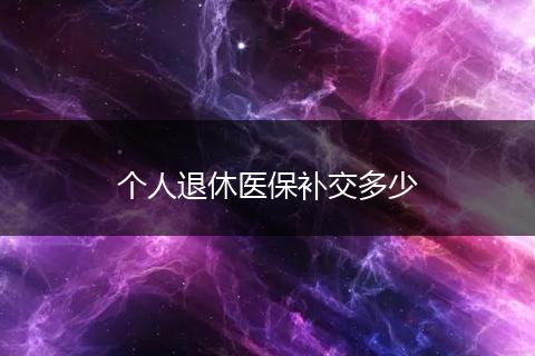 个人退休医保补交多少