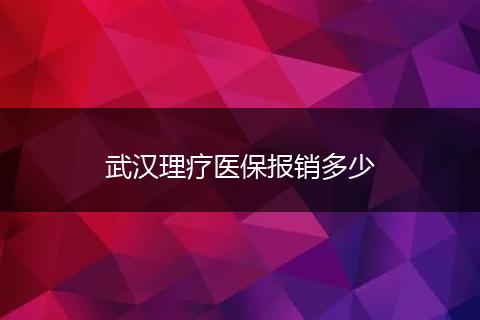 武汉理疗医保报销多少