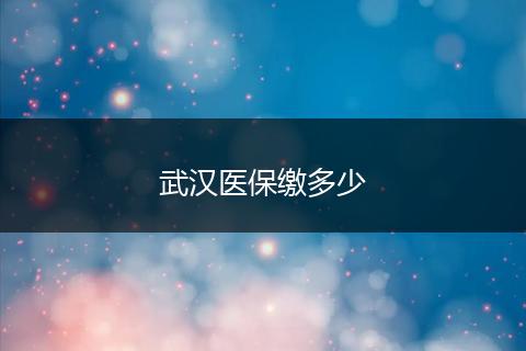 武汉医保缴多少