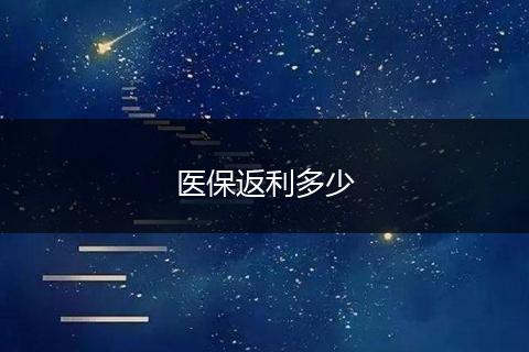 医保返利多少