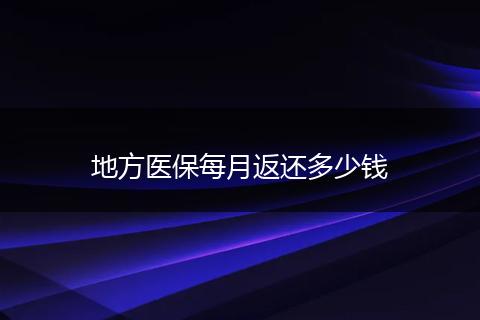 地方医保每月返还多少钱