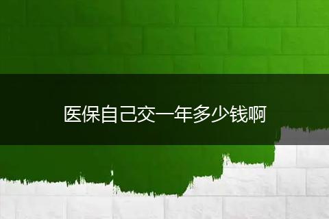 医保自己交一年多少钱啊