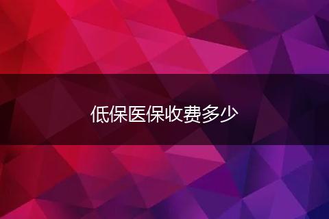 低保医保收费多少