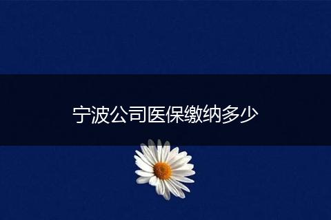 宁波公司医保缴纳多少