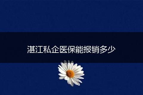 湛江私企医保能报销多少