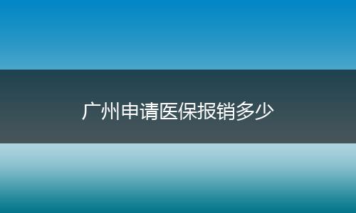 广州申请医保报销多少