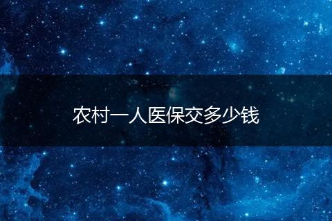农村一人医保交多少钱