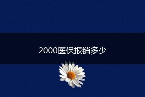 2000医保报销多少