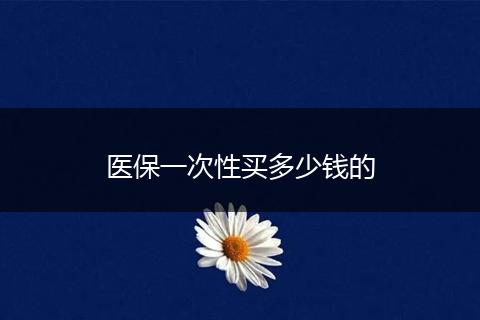 医保一次性买多少钱的