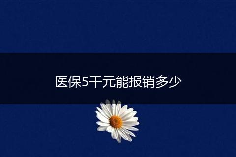 医保5千元能报销多少