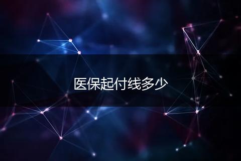 医保起付线多少
