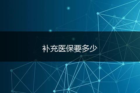 补充医保要多少
