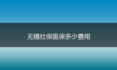 无锡社保医保多少费用