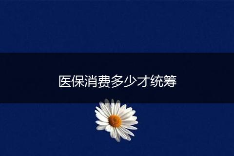 医保消费多少才统筹