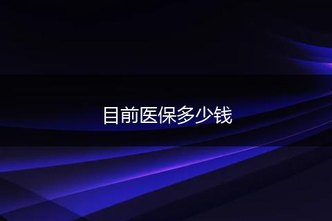 目前医保多少钱
