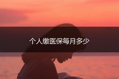 个人缴医保每月多少