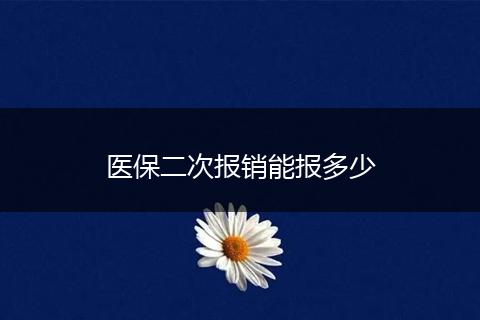 医保二次报销能报多少
