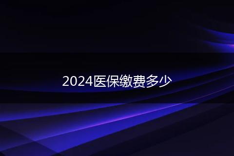 2024医保缴费多少