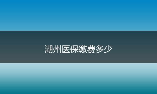 湖州医保缴费多少