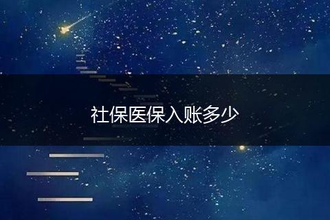 社保医保入账多少