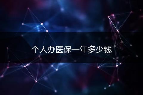 个人办医保一年多少钱