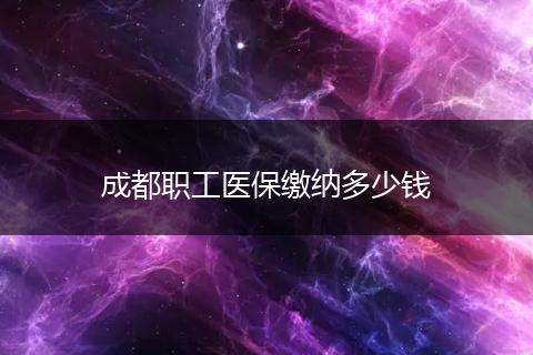 成都职工医保缴纳多少钱