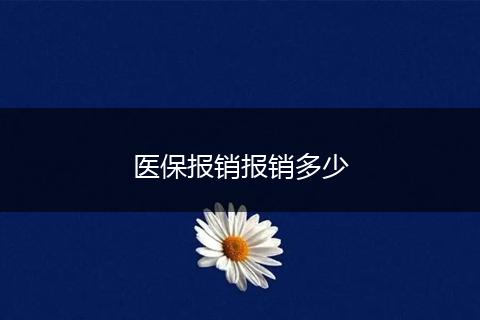 医保报销报销多少