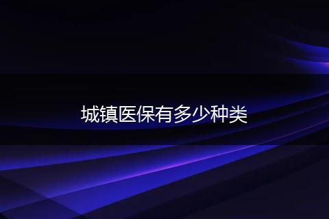 城镇医保有多少种类