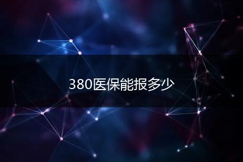 380医保能报多少