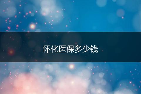 怀化医保多少钱