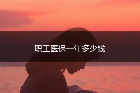 职工医保一年多少钱