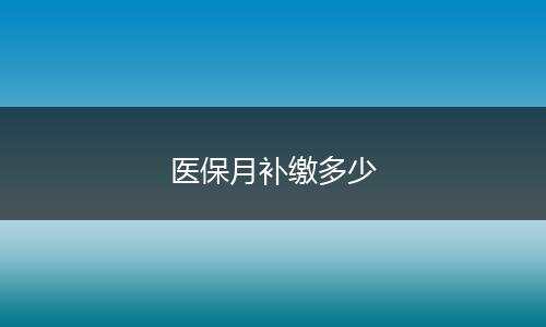 医保月补缴多少