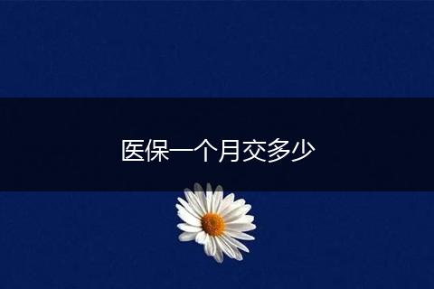 医保一个月交多少