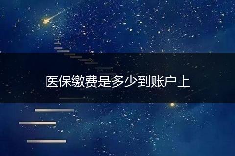 医保缴费是多少到账户上