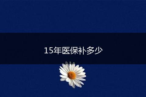 15年医保补多少