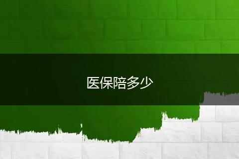 医保陪多少