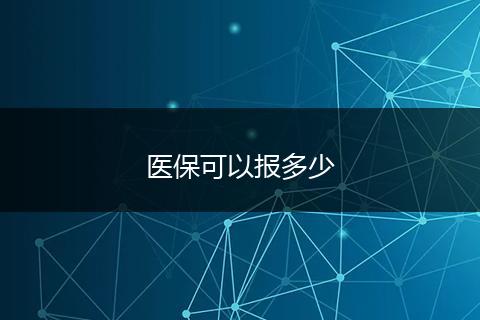 医保可以报多少
