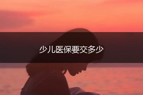 少儿医保要交多少