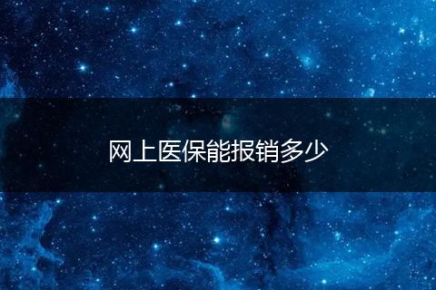 网上医保能报销多少
