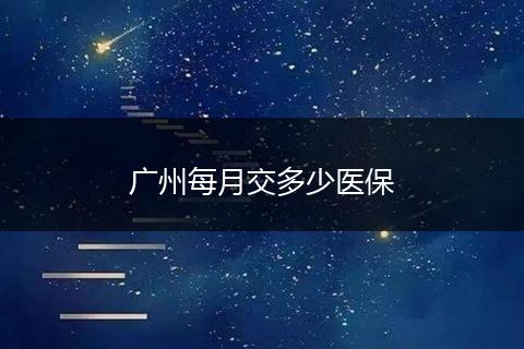 广州每月交多少医保