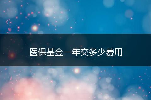医保基金一年交多少费用