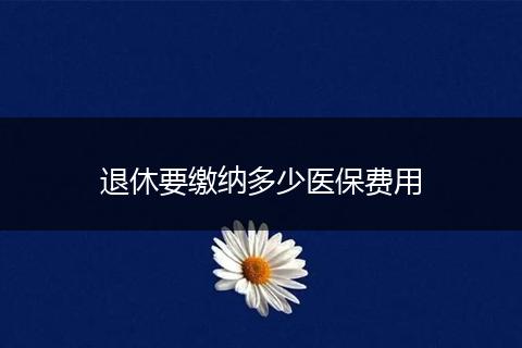 退休要缴纳多少医保费用