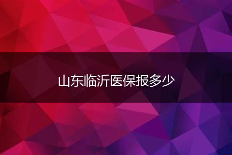 山东临沂医保报多少
