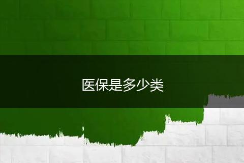 医保是多少类