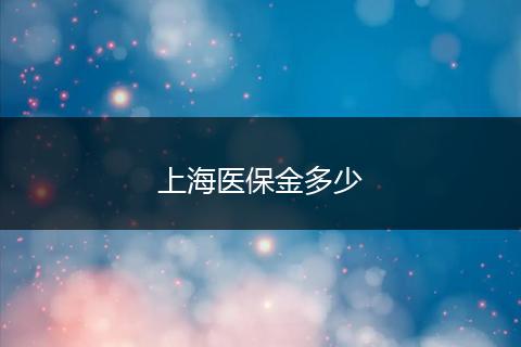 上海医保金多少