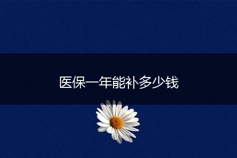 医保一年能补多少钱